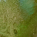 Load image into Gallery viewer, Close-up of a textured green surface with patterns