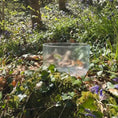 Load image into Gallery viewer, Diamond infused quartz crystal singing bowl on a forest bed of grass and bluebells
