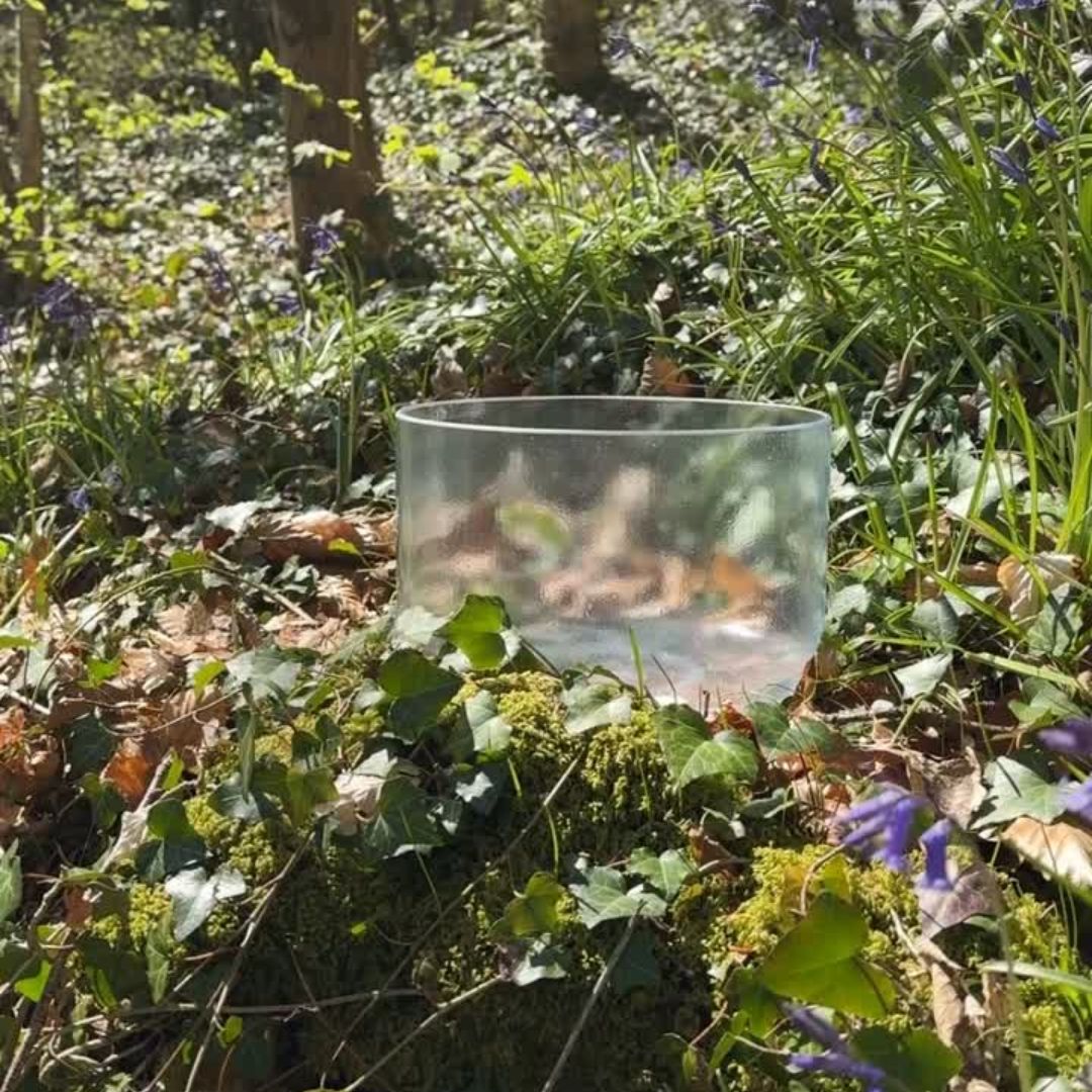 Diamond infused quartz crystal singing bowl on a forest bed of grass and bluebells