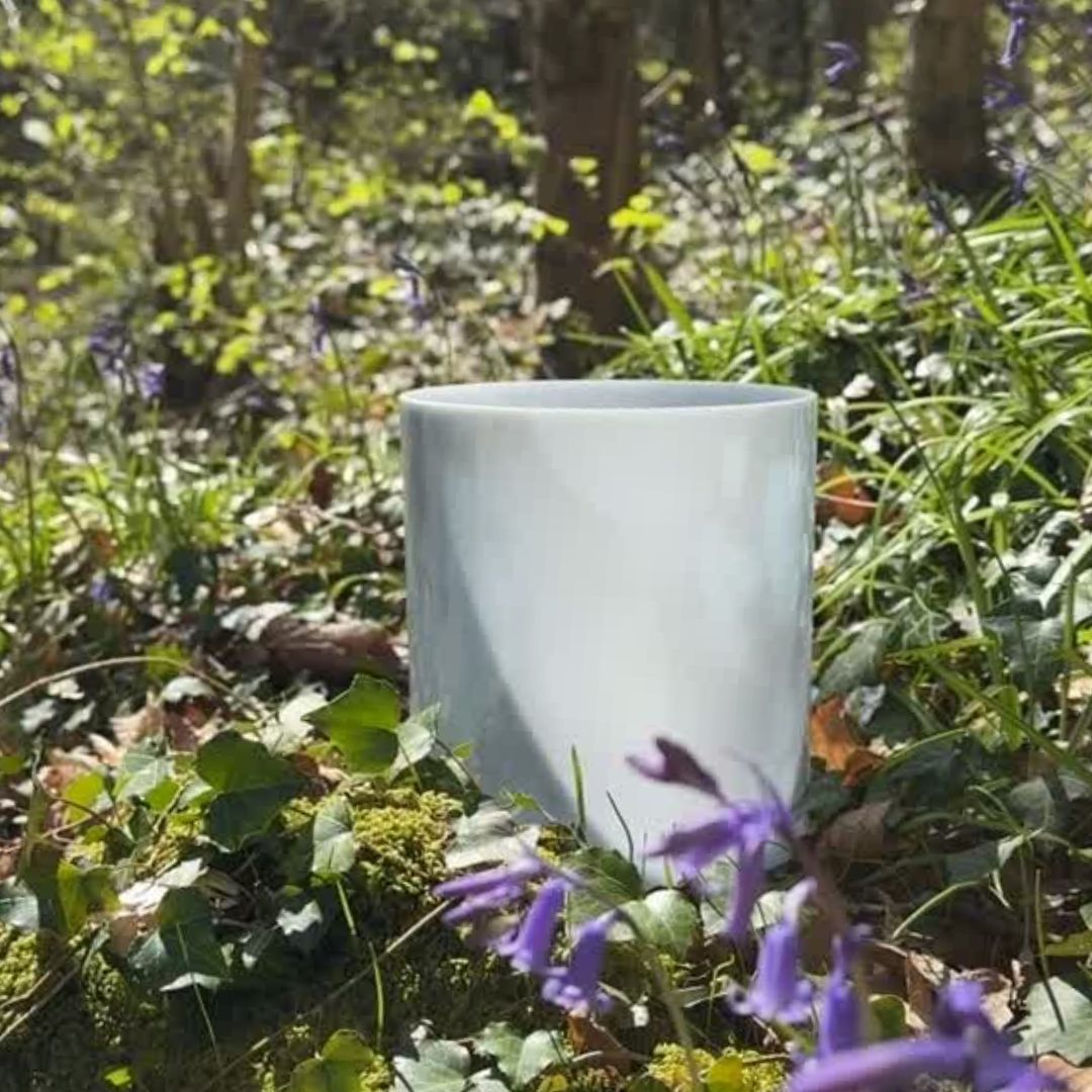 Light blue crystal sound healing bowl in a natural setting with green grass and purple flowers. 