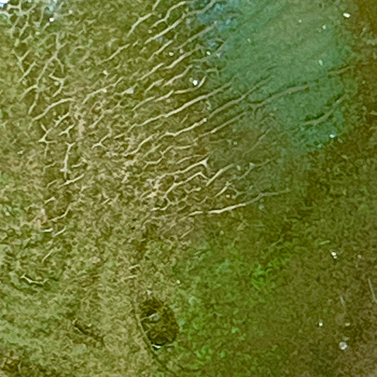 Close-up of a textured green surface with patterns